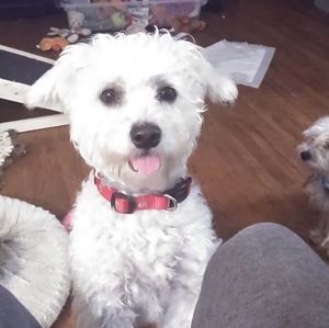 Meet your Posher, Christopher